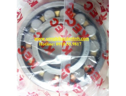 BẠC ĐẠN 22312